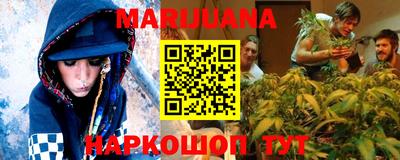 МДПВ Бийск