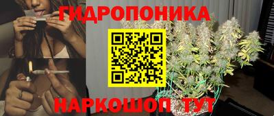 МДПВ Бийск